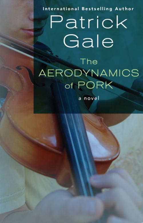 Cover of the book The Aerodynamics of Pork by Patrick Gale, Open Road Media