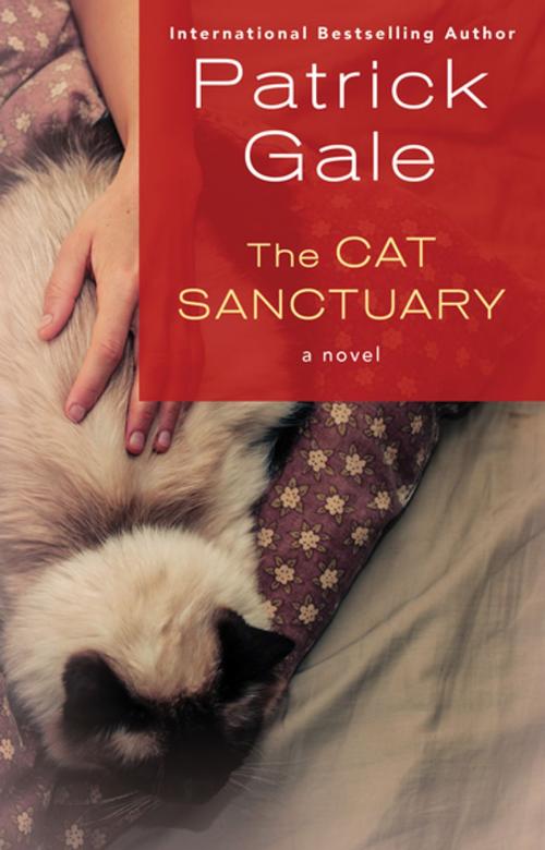 Cover of the book The Cat Sanctuary by Patrick Gale, Open Road Media