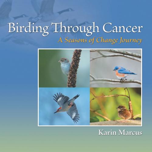 Cover of the book Birding Through Cancer by Karin Marcus, Balboa Press