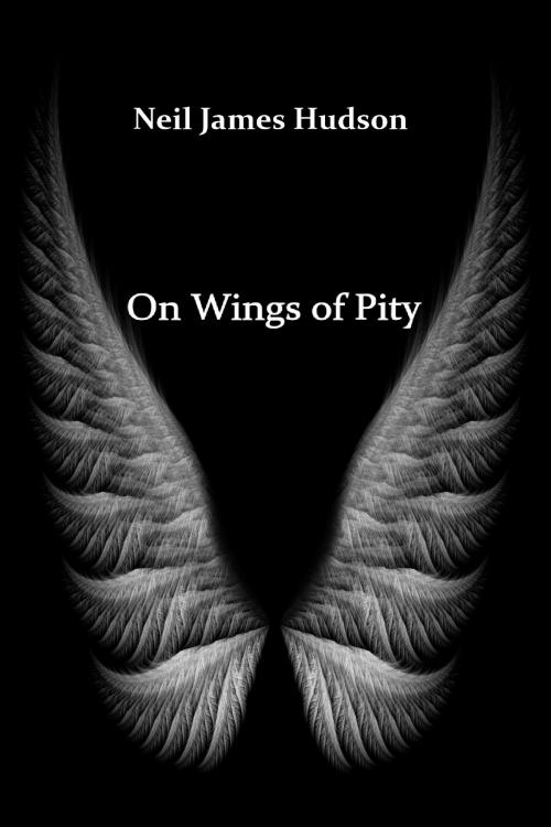 Cover of the book On Wings of Pity by Neil James Hudson, Excessica