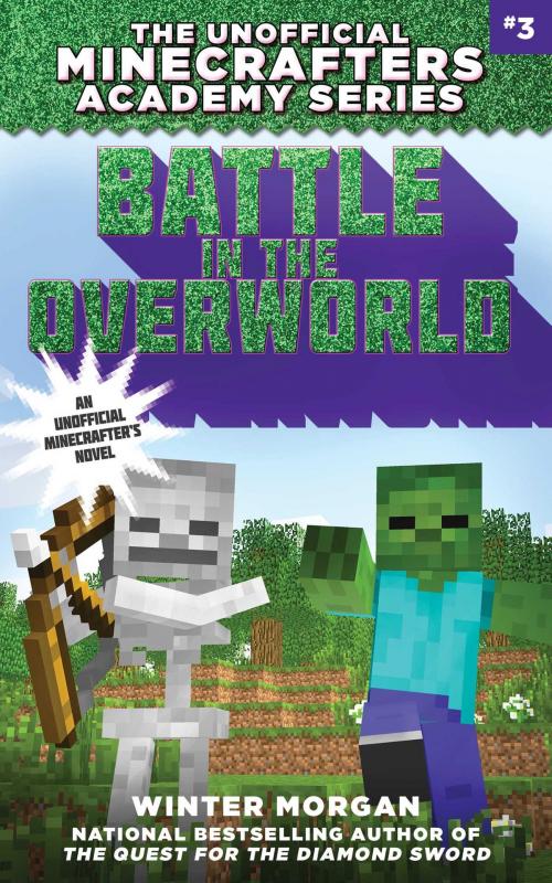 Cover of the book Battle in the Overworld by Winter Morgan, Sky Pony