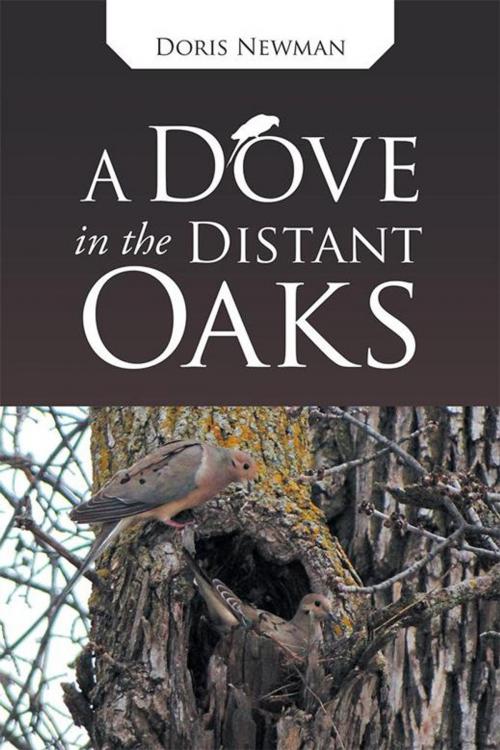 Cover of the book A Dove in the Distant Oaks by Doris Newman, WestBow Press