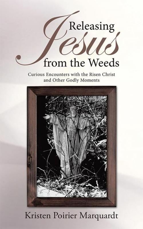 Cover of the book Releasing Jesus from the Weeds by Kristen Poirier Marquardt, WestBow Press