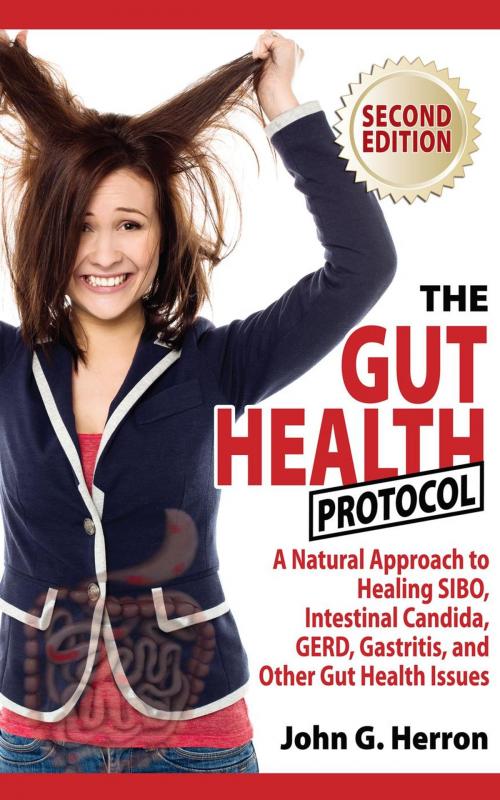 Cover of the book The Gut Health Protocol - A Nutritional Approach To Healing SIBO, Intestinal Candida, GERD, Gastritis, and other Gut Health Issues by John Herron, John Herron