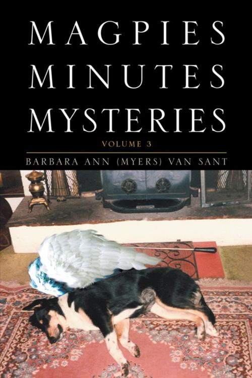 Cover of the book Magpies Minutes Mysteries by Barbara Ann (Myers) Van Sant, Xlibris US