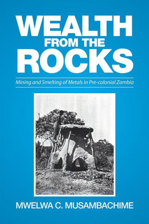 Cover of the book Wealth from the Rocks by Mwelwa C. Musambachime, Xlibris UK