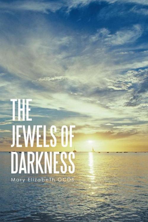 Cover of the book The Jewels of Darkness by Mary Elizabeth OCDS, Xlibris UK