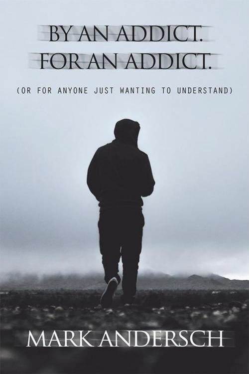 Cover of the book By an Addict, for an Addict by Mark Andersch, Xlibris US