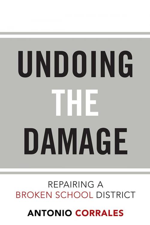 Cover of the book Undoing the Damage: Repairing a Broken School District by Antonio Corrales, Xlibris US