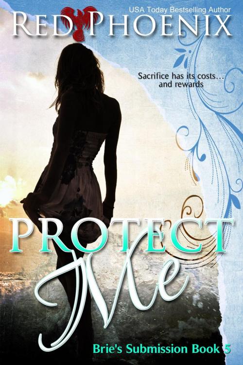Cover of the book Protect Me by Red Phoenix, Provocative Romance