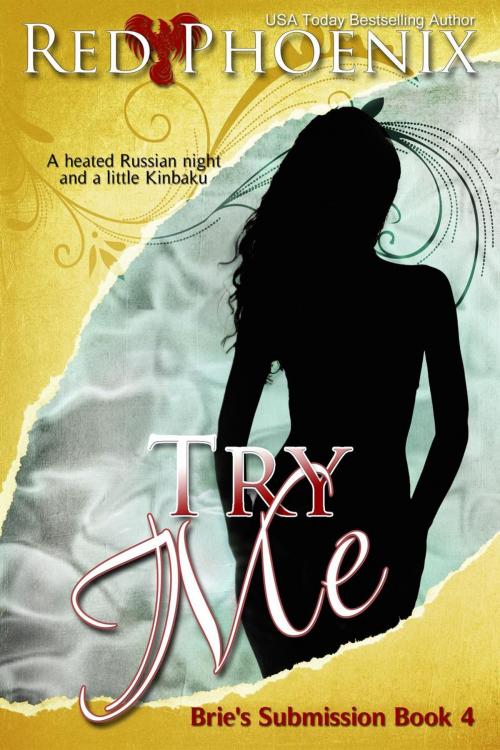 Cover of the book Try Me by Red Phoenix, Red Phoenix