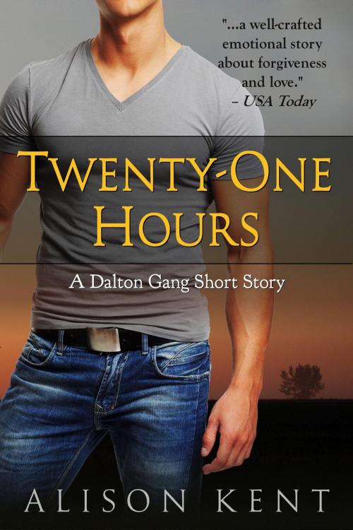 Cover of the book Twenty-One Hours by Alison Kent, Rocks and Ink