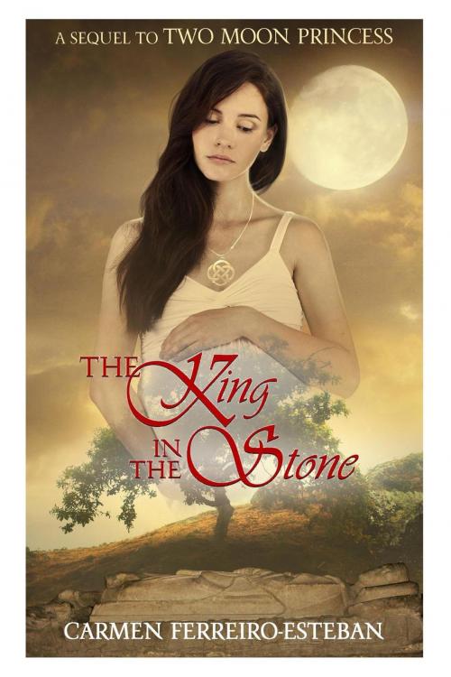 Cover of the book The King in the Stone by Carmen Ferreiro Esteban, Carmen Ferreiro Esteban