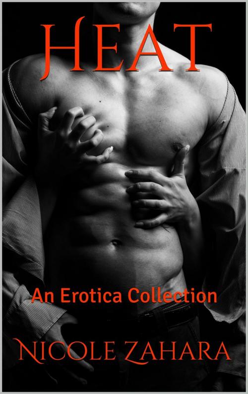 Cover of the book Heat - An Erotica Collection by Nicole Zahara, Erolalia Press