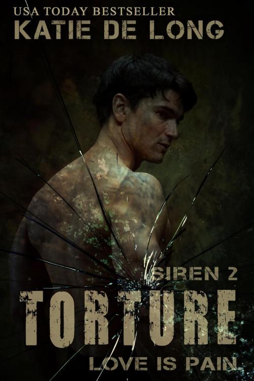 Cover of the book Torture by Katie de Long, Katie de Long