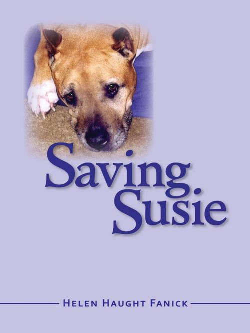 Cover of the book Saving Susie by Helen Haught Fanick, Helen Haught Fanick