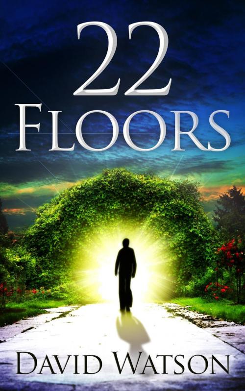 Cover of the book 22 Floors by David Watson, David Watson
