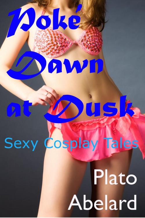 Cover of the book Poké Dawn at Dusk by Plato Abelard, Plato Abelard