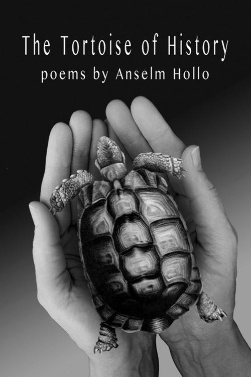 Cover of the book The Tortoise of History by Anselm Hollo, Coffee House Press