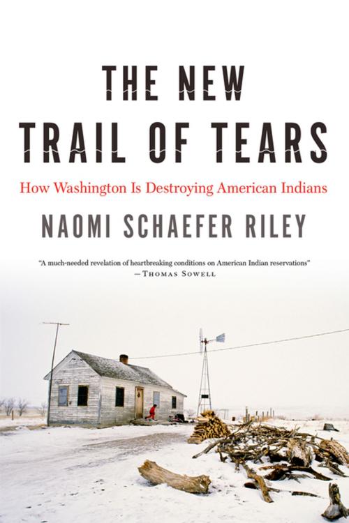 Cover of the book The New Trail of Tears by Naomi Schaefer Riley, Encounter Books