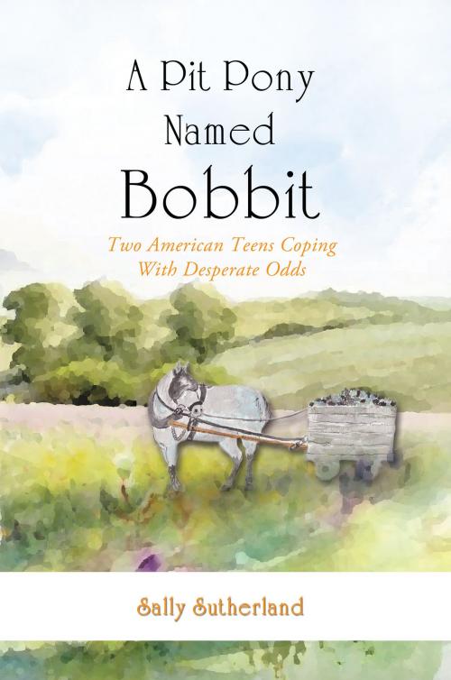 Cover of the book A Pit Pony Named Bobbit by Sally, Sutherland, Publication Consultants