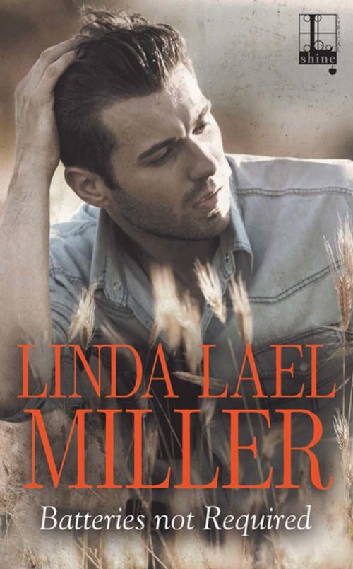 Cover of the book Batteries Not Required by Linda Lael Miller, Lyrical Press