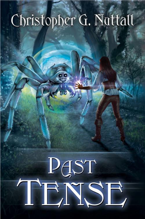 Cover of the book Past Tense by Christopher Nuttall, Twilight Times Books