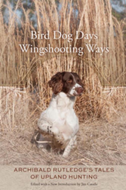Cover of the book Bird Dog Days, Wingshooting Ways by , University of South Carolina Press