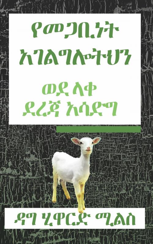 Cover of the book የመጋቢነት አገልግሎትህን ወደ ላቀ ደረጃ አሳድግ by Dag Heward-Mills, Dag Heward-Mills