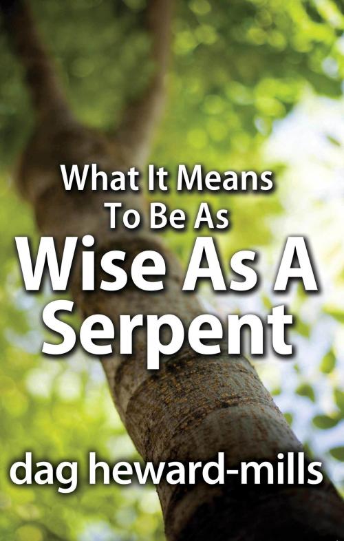 Cover of the book What it Means to be as Wise as a Serpent by Dag Heward-Mills, Dag Heward-Mills