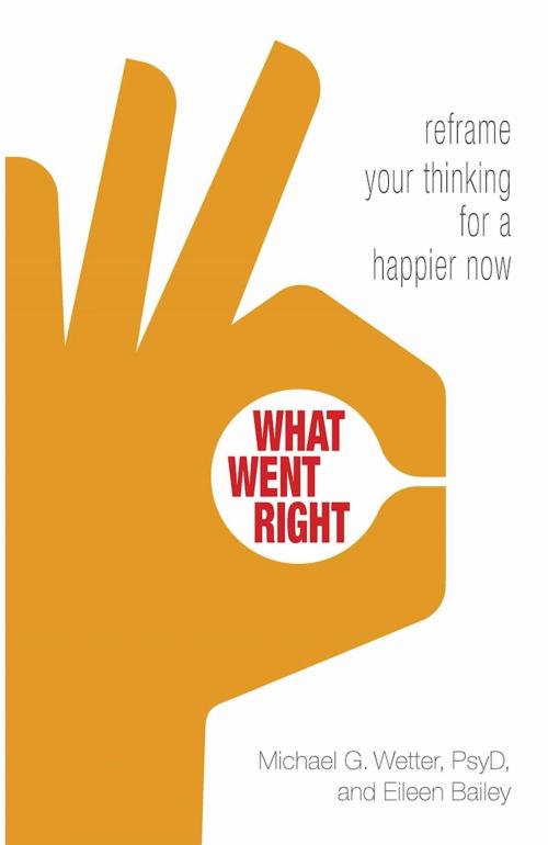 Cover of the book What Went Right by Eileen Bailey, Michael G. Wetter, Hazelden Publishing