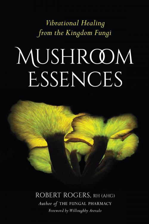 Cover of the book Mushroom Essences by Robert Rogers, North Atlantic Books