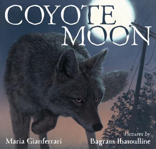 Cover of the book Coyote Moon by Maria Gianferrari, Bagram Ibatoulline, Roaring Brook Press