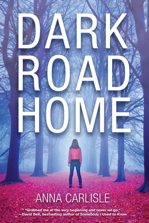 Cover of the book Dark Road Home by Anna Carlisle, Crooked Lane Books
