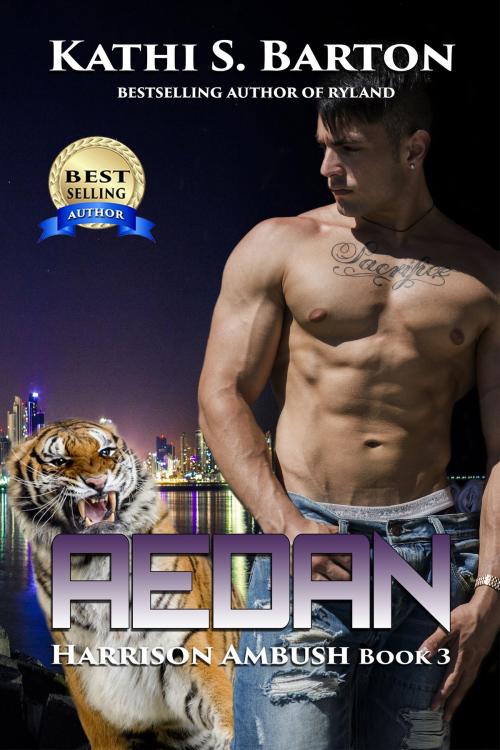 Cover of the book Aedan by Kathi S. Barton, World Castle Publishing, LLC