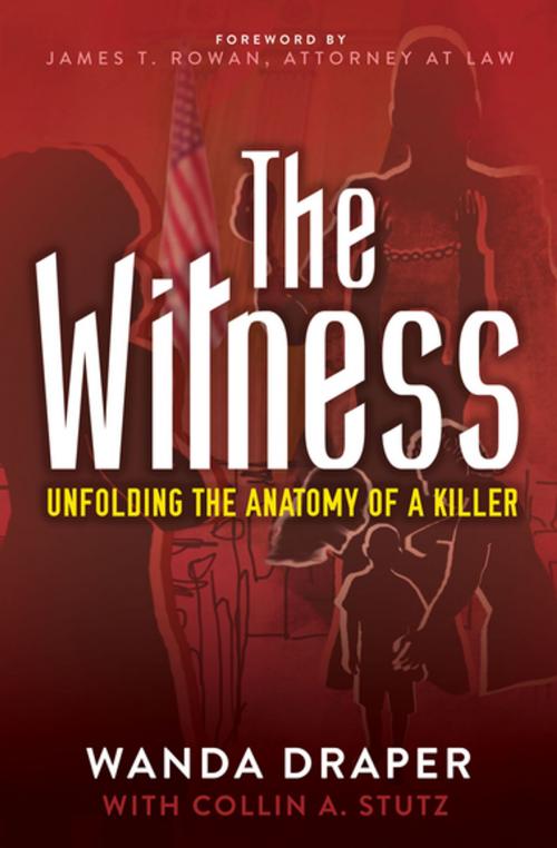 Cover of the book The Witness by Collin A. Stutz, Wanda Draper, PhD, Morgan James Publishing