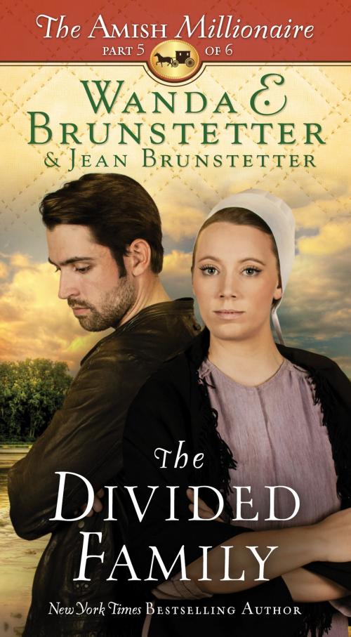 Cover of the book The Divided Family by Wanda E. Brunstetter, Jean Brunstetter, Barbour Publishing, Inc.
