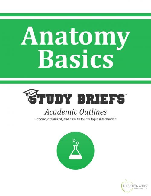 Cover of the book Anatomy Basics by Little Green Apples Publishing, LLC ™, Little Green Apples Publishing LLC