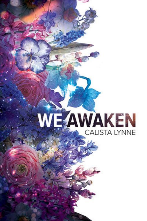 Cover of the book We Awaken by Calista Lynne, Dreamspinner Press