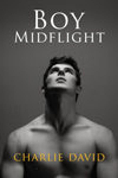 Cover of the book Boy Midflight by Charlie David, Dreamspinner Press