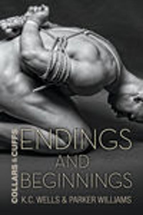 Cover of the book Endings and Beginnings by K.C. Wells, Parker Williams, Dreamspinner Press