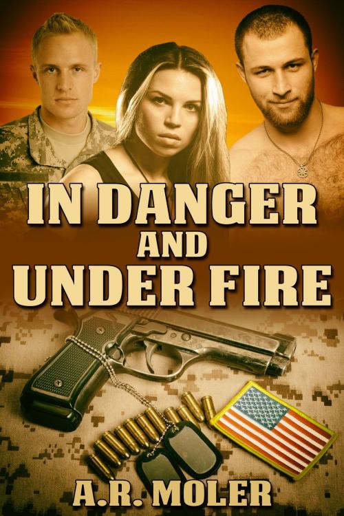 Cover of the book In Danger and Under Fire by A.R. Moler, JMS Books LLC