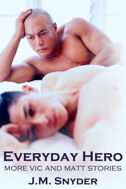 Cover of the book Everyday Hero Box Set by J.M. Snyder, JMS Books LLC