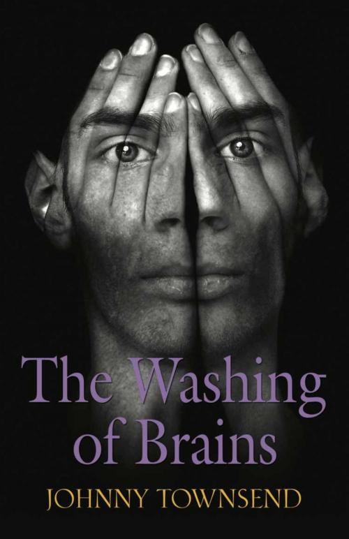 Cover of the book The Washing of Brains by Johnny Townsend, BookLocker.com, Inc.