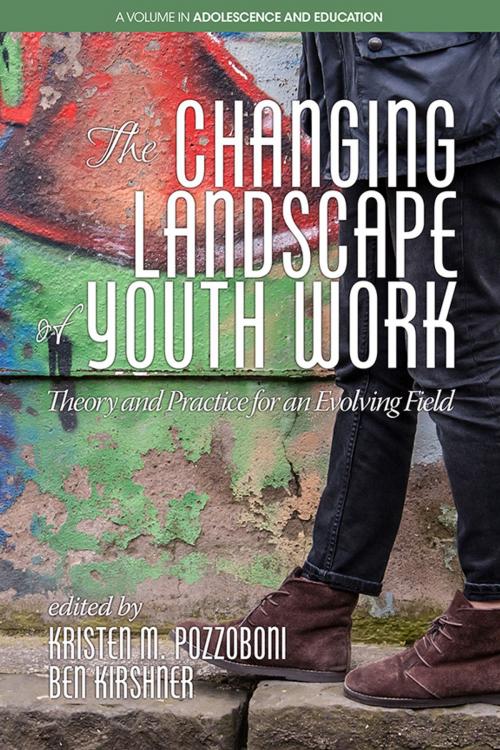 Cover of the book The Changing Landscape of Youth Work by , Information Age Publishing
