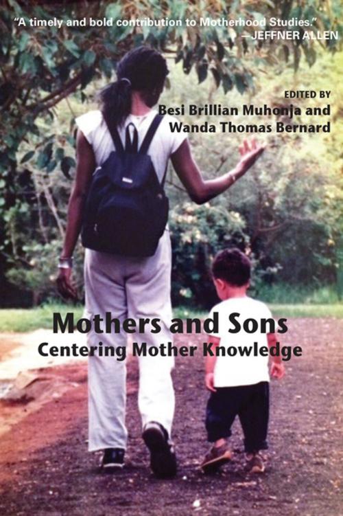 Cover of the book Mothers and Sons by , Demeter Press