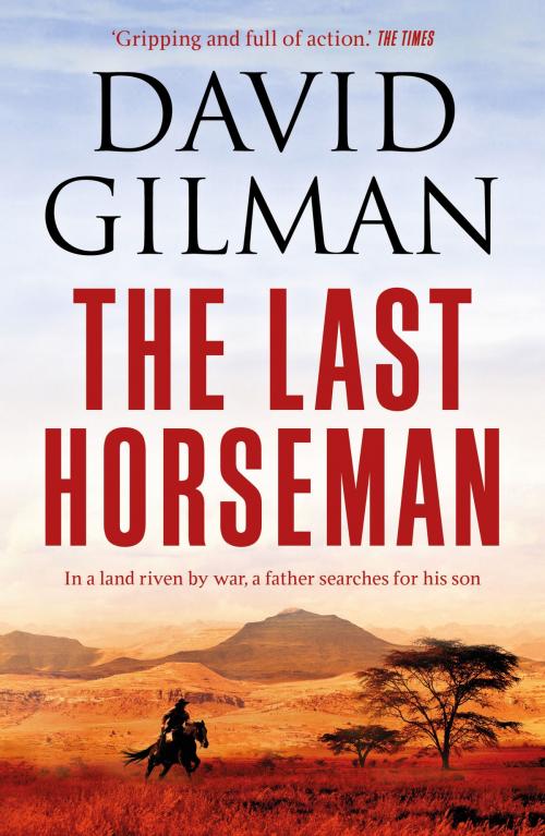 Cover of the book The Last Horseman by David Gilman, Head of Zeus