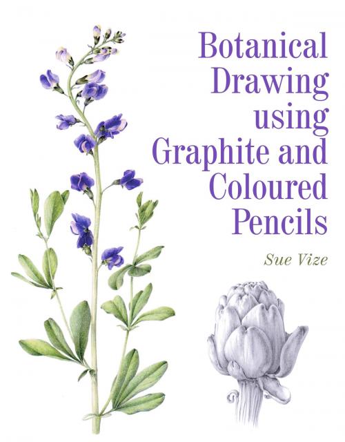Cover of the book Botanical Drawing using Graphite and Coloured Pencils by Sue Vize, Crowood