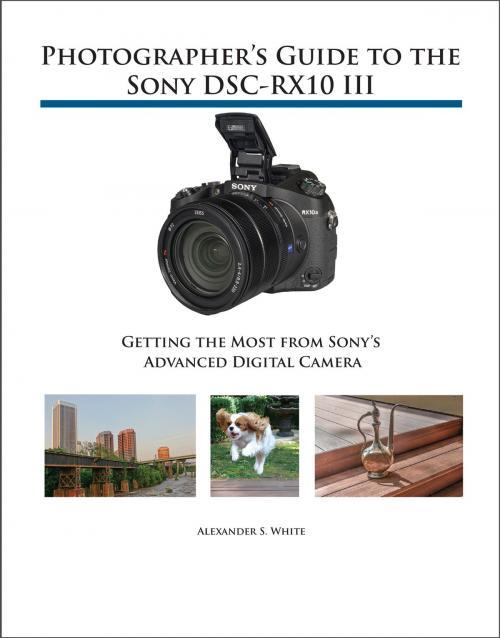 Cover of the book Photographer's Guide to the Sony DSC-RX10 III by Alexander White, White Knight Press