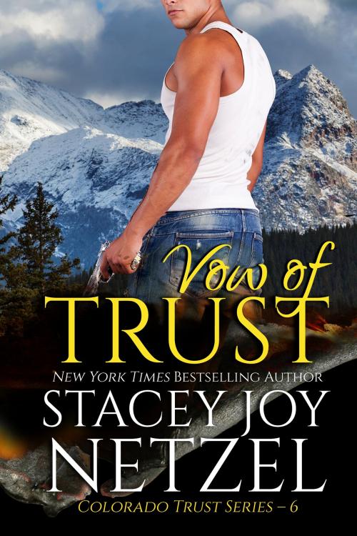 Cover of the book Vow of Trust (Colorado Trust Series - 6) by Stacey Joy Netzel, Stacey Joy Netzel